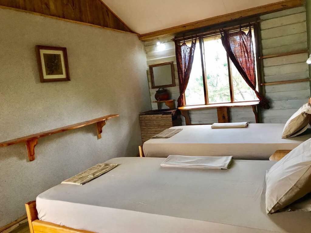 Miseni Retreat Villa Saadani Dış mekan fotoğraf